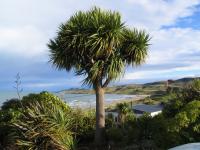 Albums/20060200-New Zealand 2006/20060313-Catlins/61